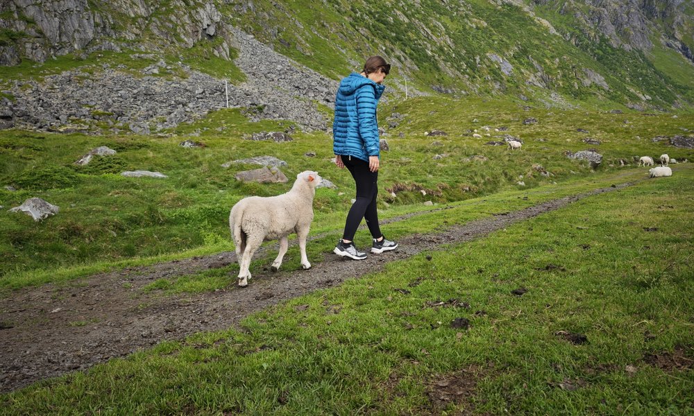 WhatsApp Image 2025-07-13 at 20.45.56