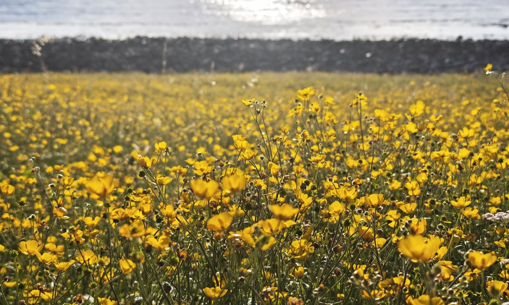 WhatsApp Image 2025-07-13 at 20.46.01