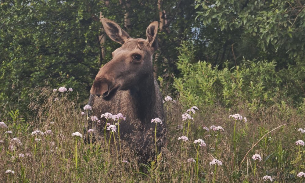 WhatsApp Image 2025-07-15 at 12.59.13