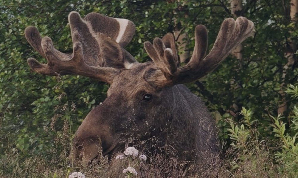 WhatsApp Image 2025-07-15 at 12.59.15 (2)