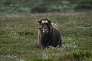 WhatsApp Image 2025-08-10 at 19.07.47