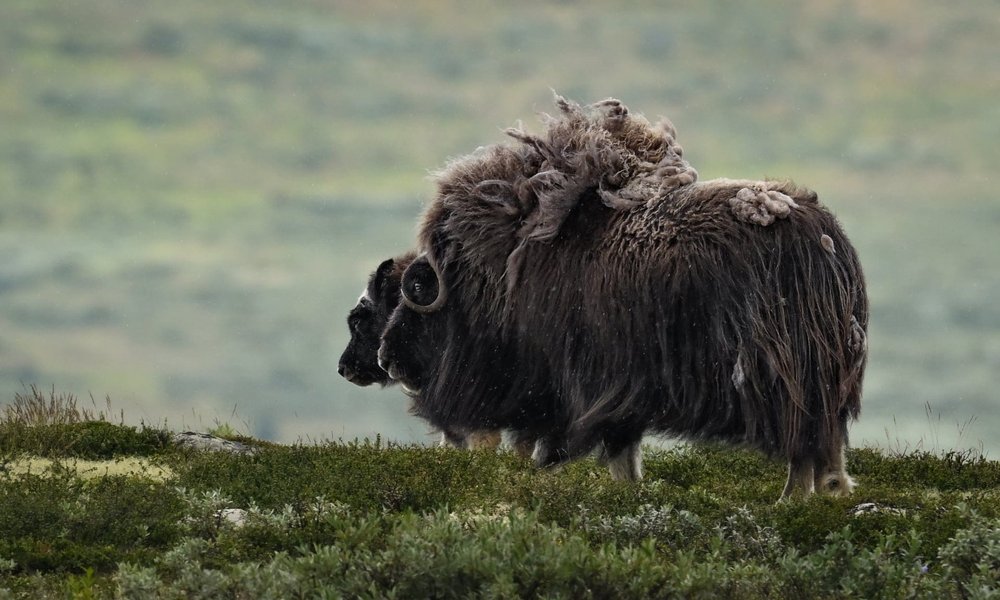 WhatsApp Image 2025-08-10 at 19.07.48