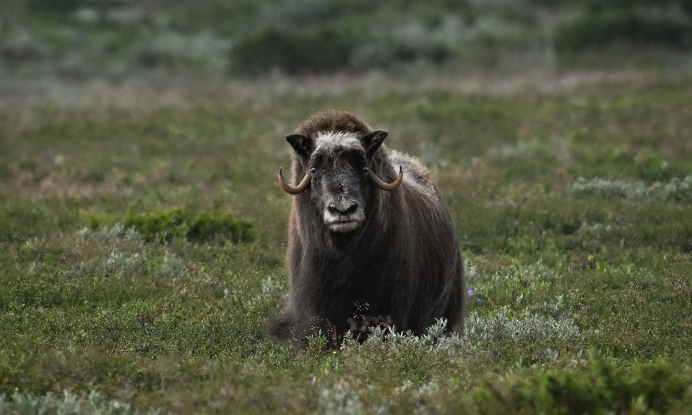 WhatsApp Image 2025-08-10 at 19.07.47