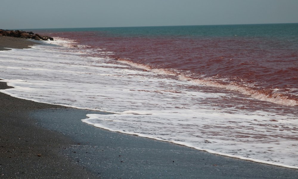 abolhassan-neghabi-8MP5U3213jA-unsplash