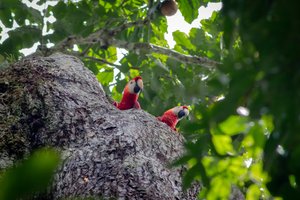 adrien-milcent-qkVswCv1R2k-unsplash