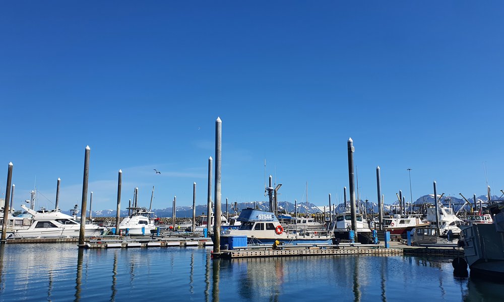 aljaska_novaspletna (16)