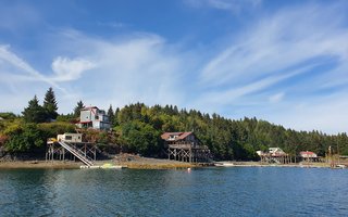 aljaska_novaspletna (19)