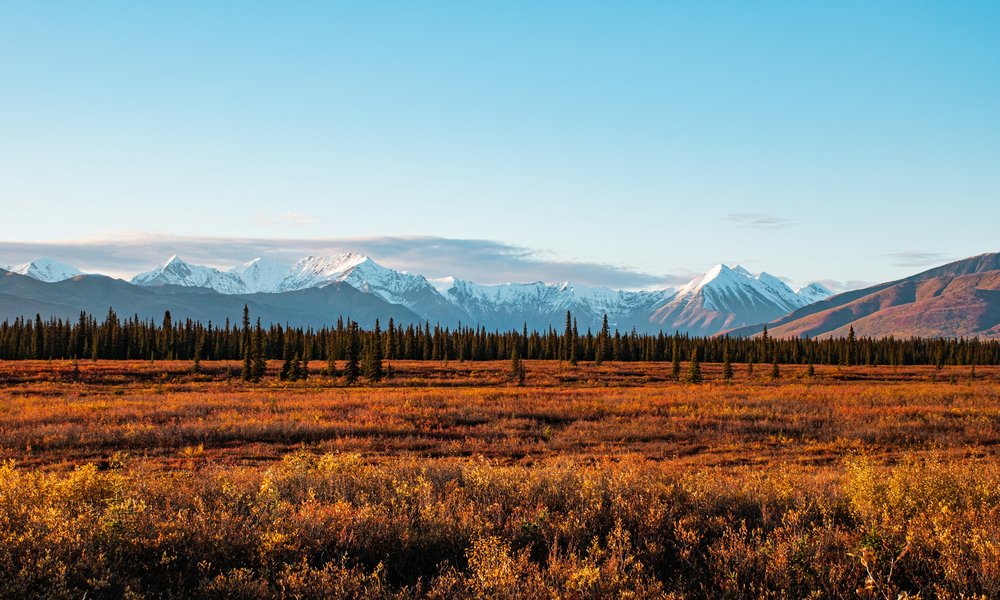 aljaska_novaspletna (27)