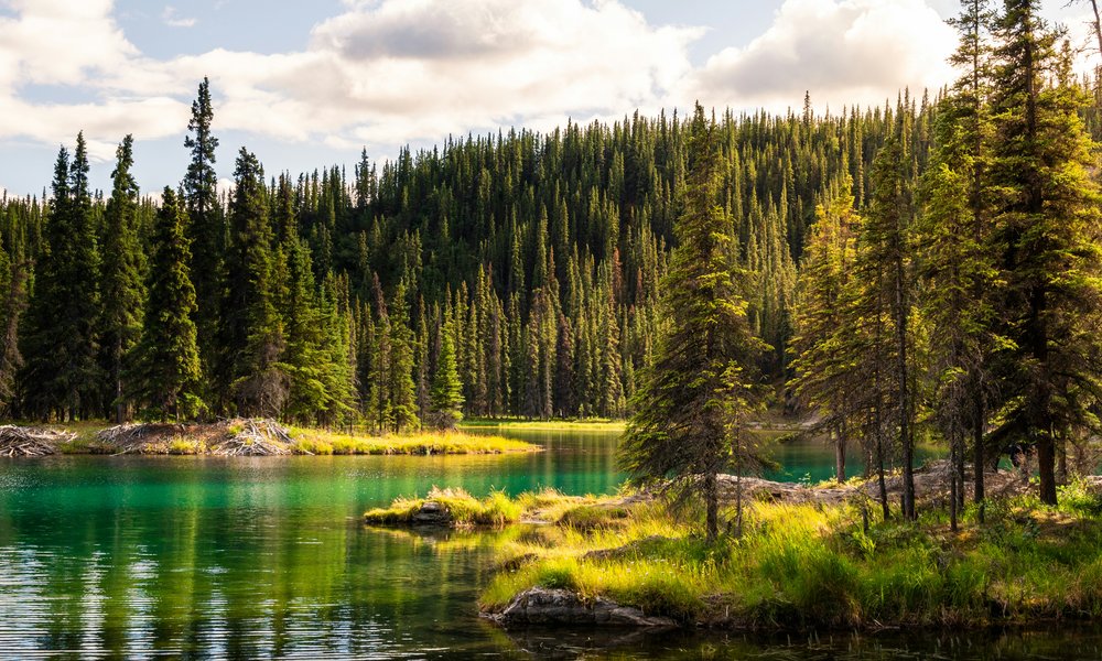 aljaska_novaspletna (38)