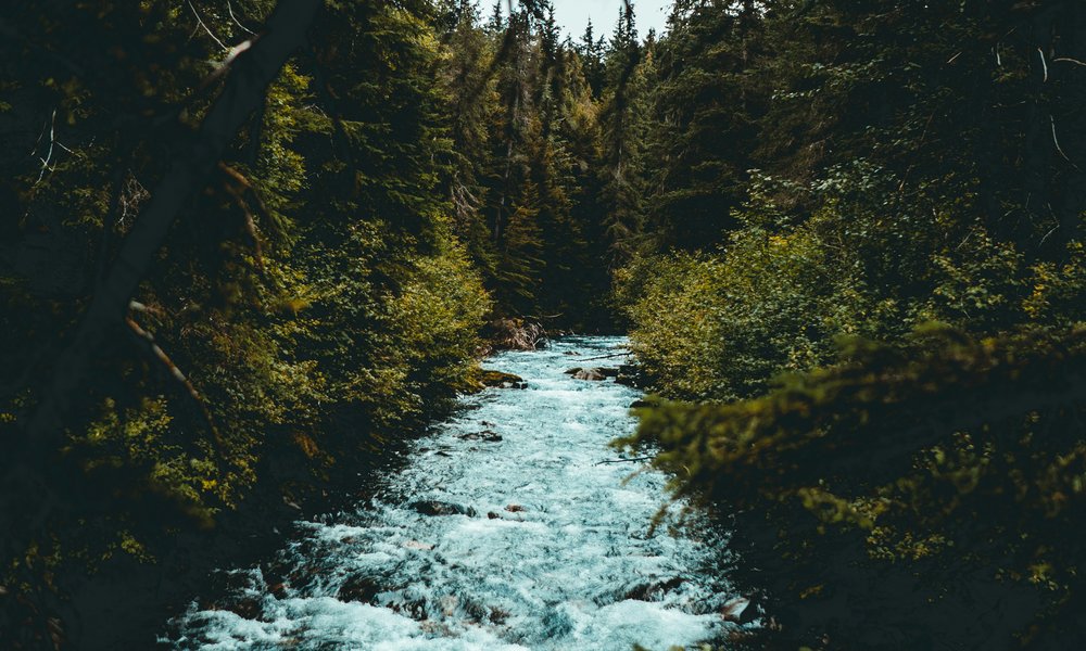 aljaska_novaspletna (39)