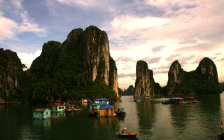 best Vietkong- (59)