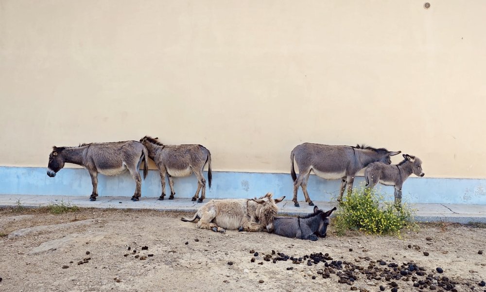 c534aaf9-5070-4f35-9455-e686615c7509