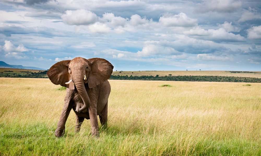 craig-stevenson-Hsef5B_pHgE-unsplash