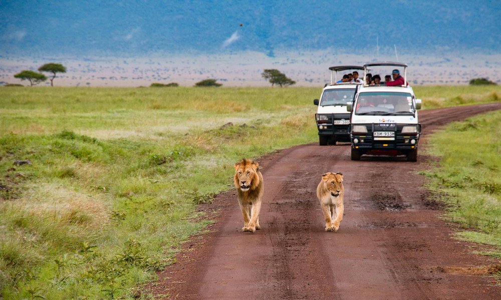 craig-stevenson-Lrfeth2WaOo-unsplash