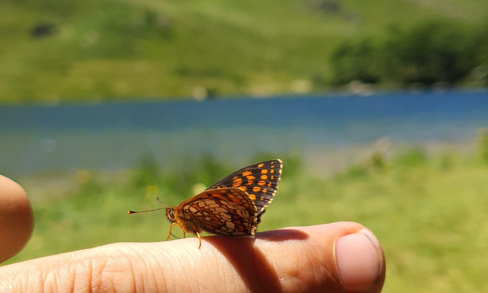 crnagora_novapletna (26)