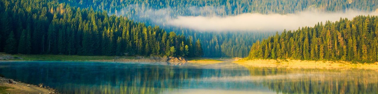 Črna gora, za družine