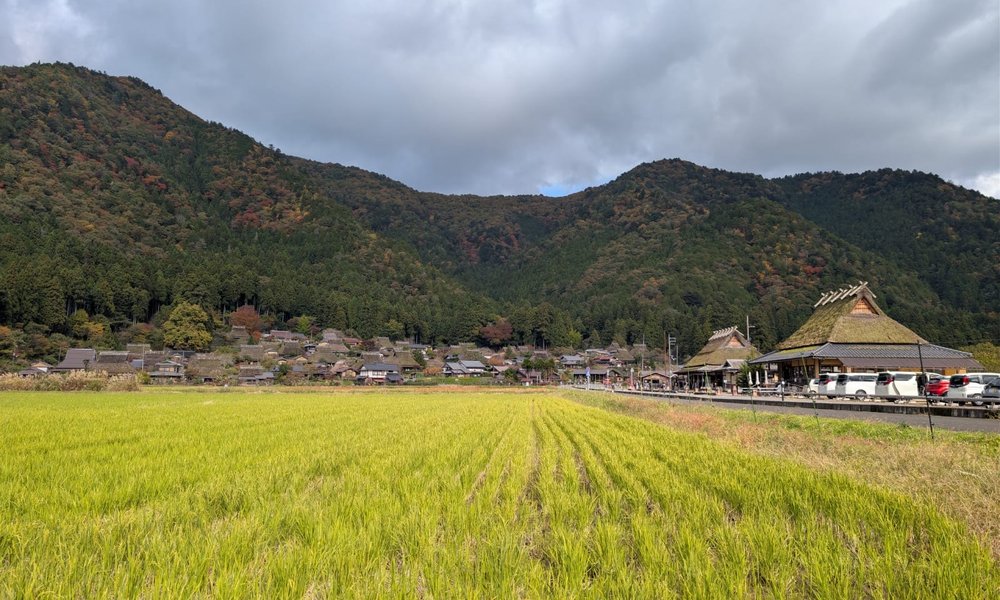 f4846a56-9243-4ad8-abf9-bacffe92e13e 2