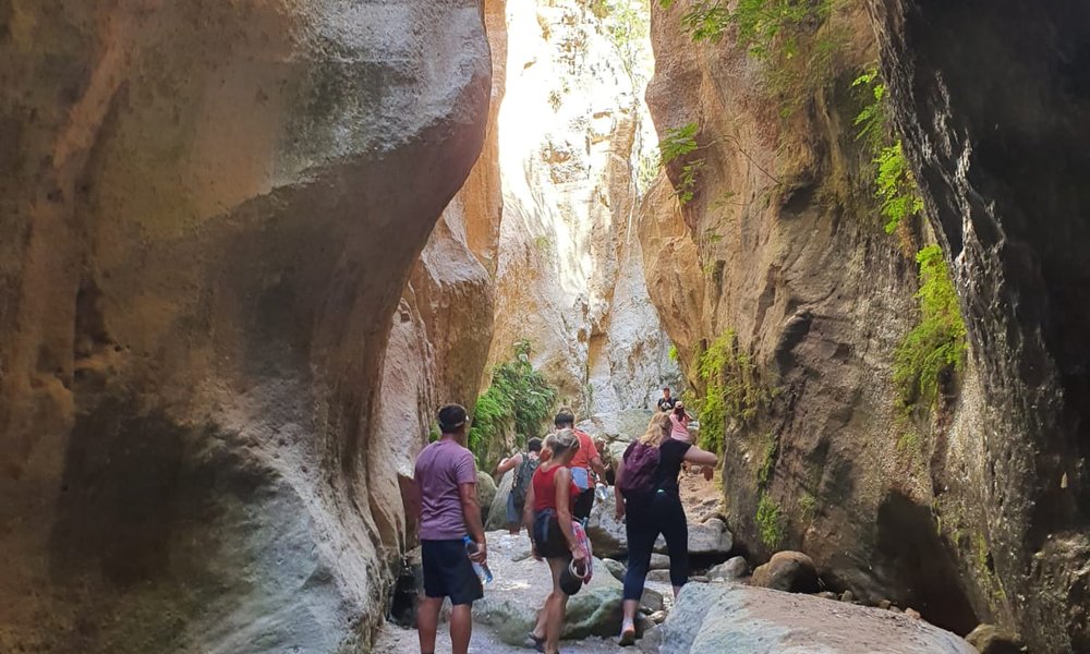 fc1a9086-0475-4c89-bab8-162d8d3edf2b