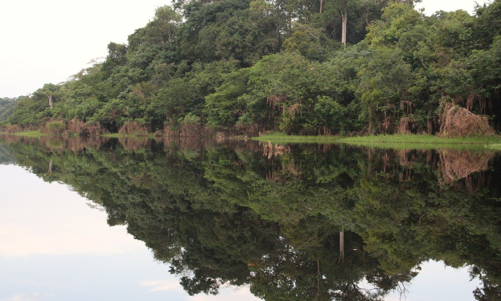 fotke new york in brazilija 452