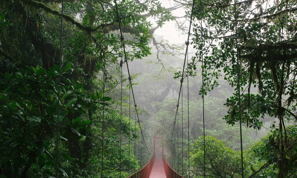 giulia-squillace-UqczPD_WUhQ-unsplash