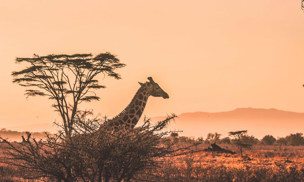 harshil-gudka-kfxEUCTUeyg-unsplash