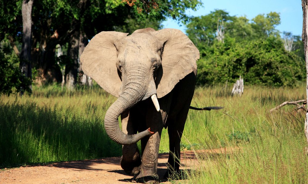 henning-borgersen-RoKwBWxVqwY-unsplash-3