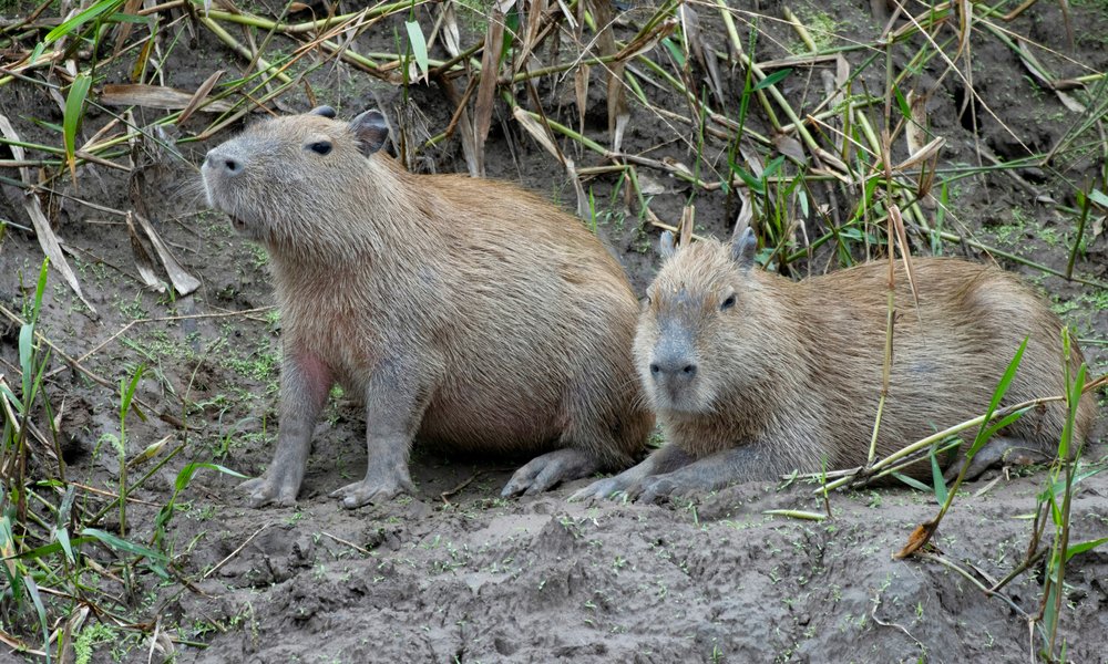 hongbin-I5OJZcMyEPI-unsplash