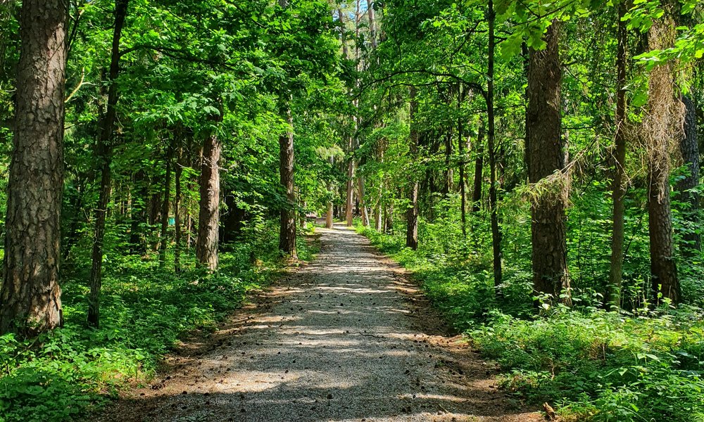 ibra-96hOVrJ86xU-unsplash