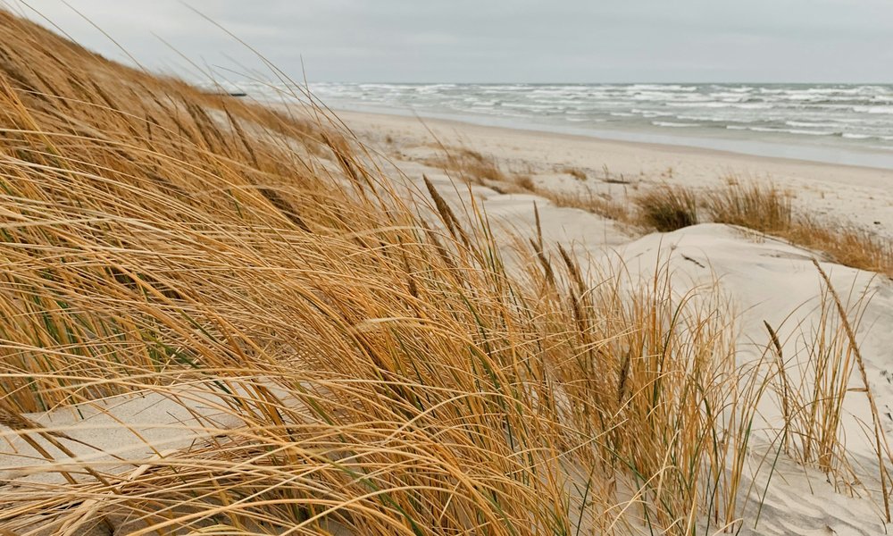 irina-shishkina-DyFiiQCd4lM-unsplash