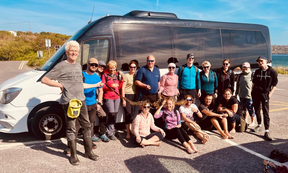 irska_novaspletna (41)