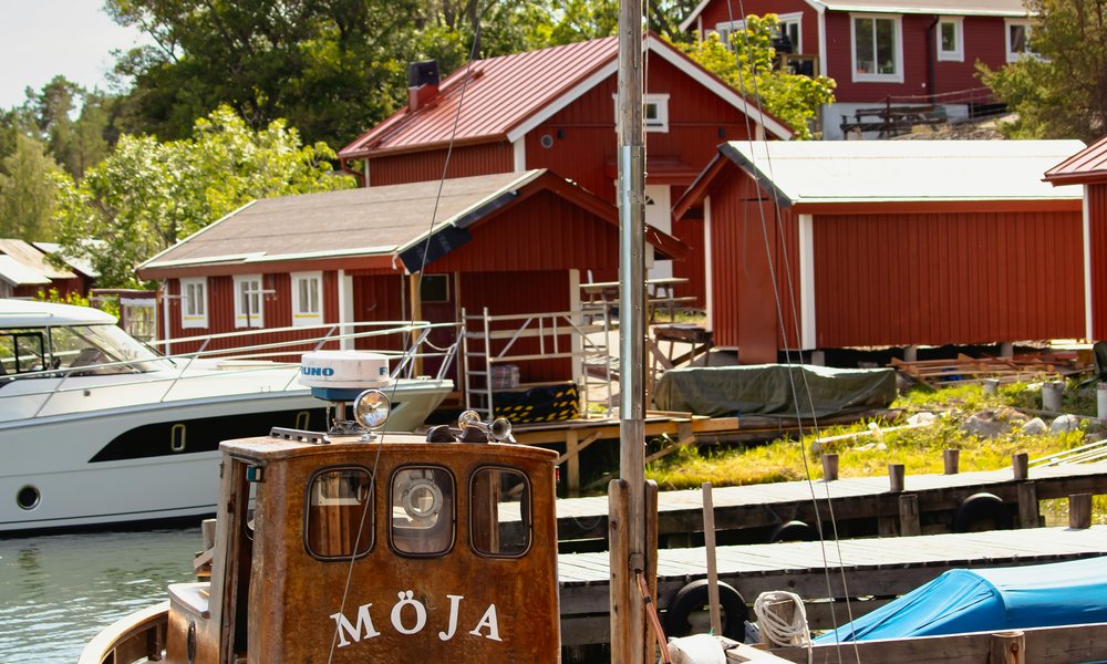 lena-polishko-Z1xRTPnE2fw-unsplash