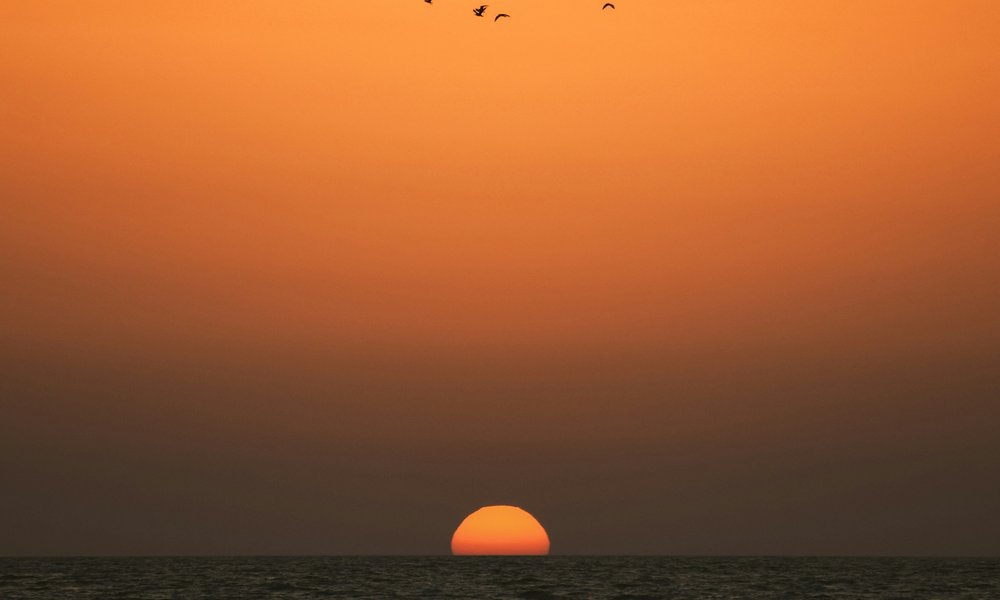 mahdi-amiri-on0TmvHTM2U-unsplash