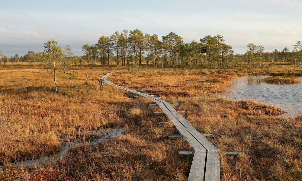 maksim-shutov-nQDTxgmB8eQ-unsplash