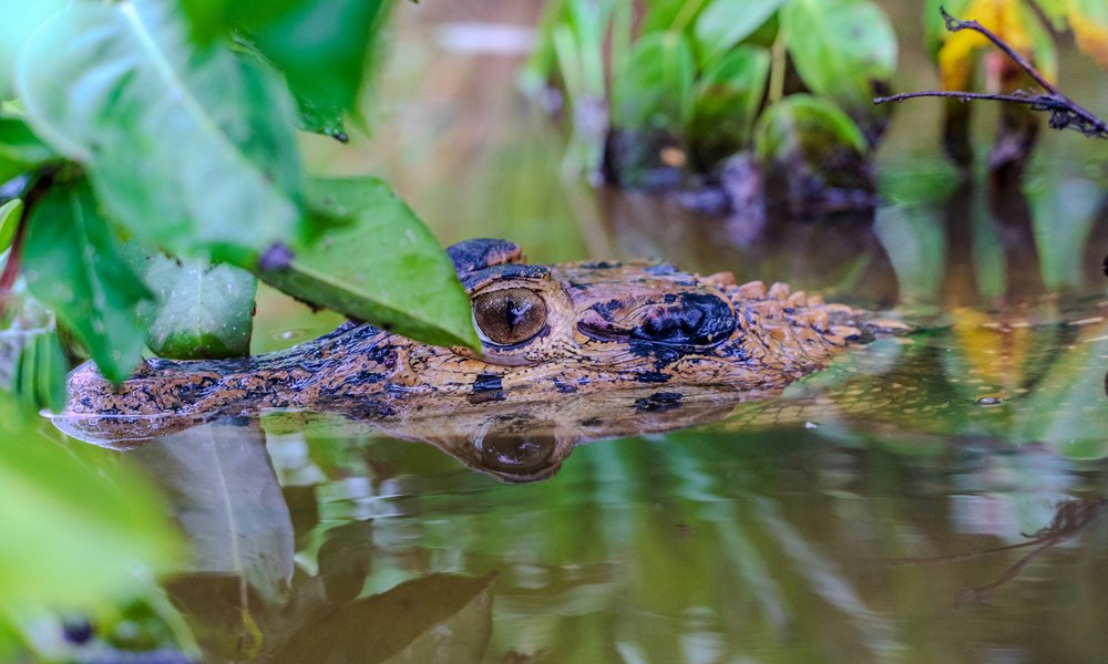 mark-kuiper-4Fr6aH5oOpE-unsplash