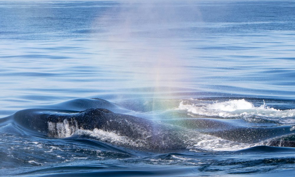 marlin-clark-ZeiO78V3XSg-unsplash