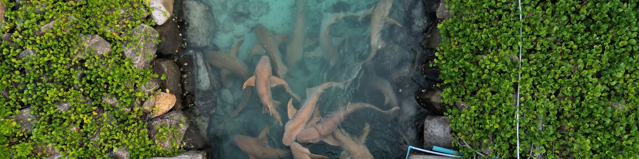 Maldivi otok Mathiveri