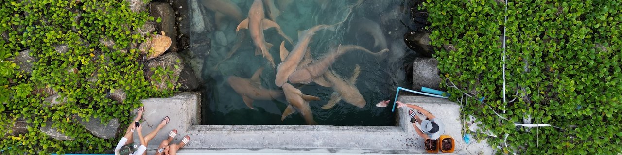 Maldivi otok Mathiveri