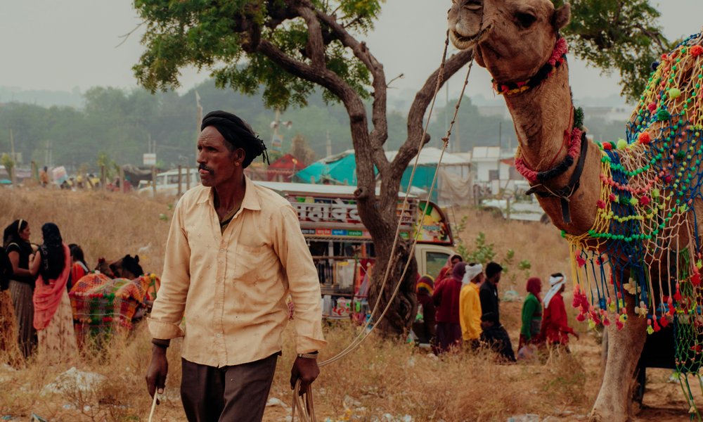 prashant-bamnawat-y-smRYUqTTk-unsplash