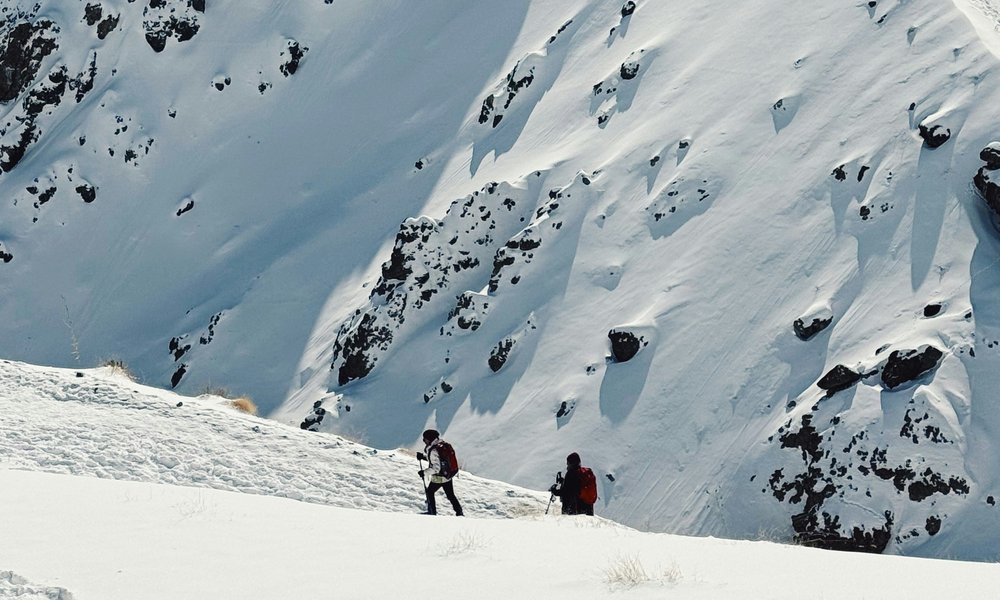 roozbeh-eslami-tX-pwxCftcs-unsplash