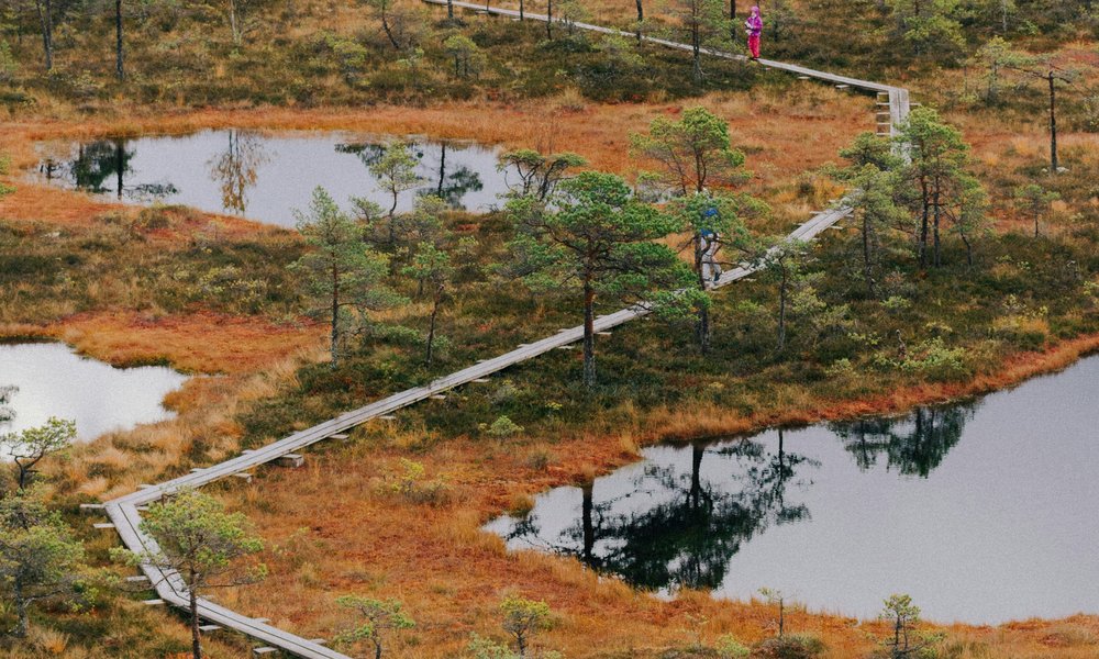 siim-lukka-TEKEos9Msx8-unsplash