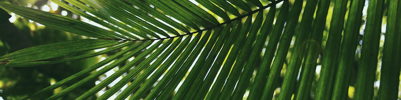 Dominikanska republika, za družine