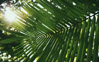 syd-sujuaan-VlxOprMZQsI-unsplash